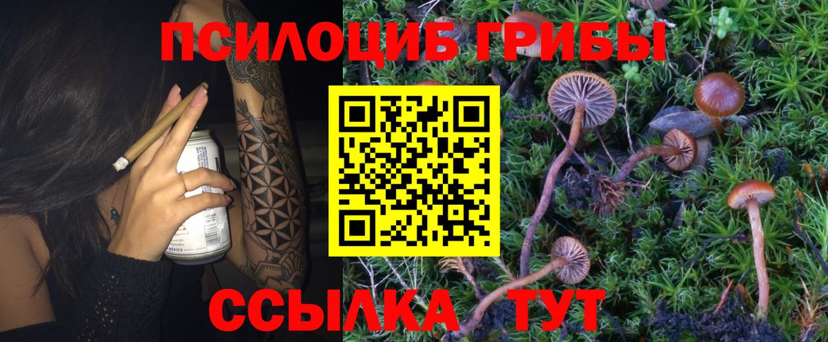 Рославль  Псилоцибиновые грибы Psilocybe  Галлюциногенные грибы Cubensis  Вход с VPN 